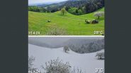 Slovenia Weather Sudden Change: From Sweltering Heat to Snowfall, Temperatures Drop by Over 25 Degrees Celsius, Pic of Radical Change in Weather Goes Viral