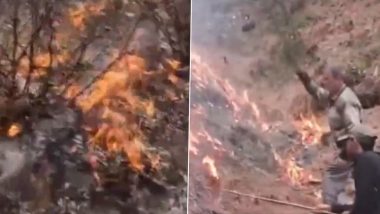 Bandipora Forest Fire: Blaze Erupts at Forested Area in Jammu and Kashmir (Watch Video)