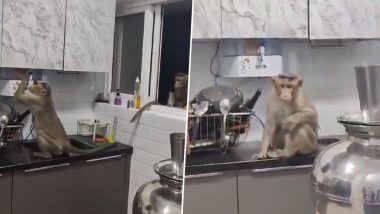 'Monkeys Are Thirsty': Monkey Tries To Drink Water From Purifier To Quench Its Thirst After Entering House in Bengaluru Amid Water Crisis, Viral Video Surfaces