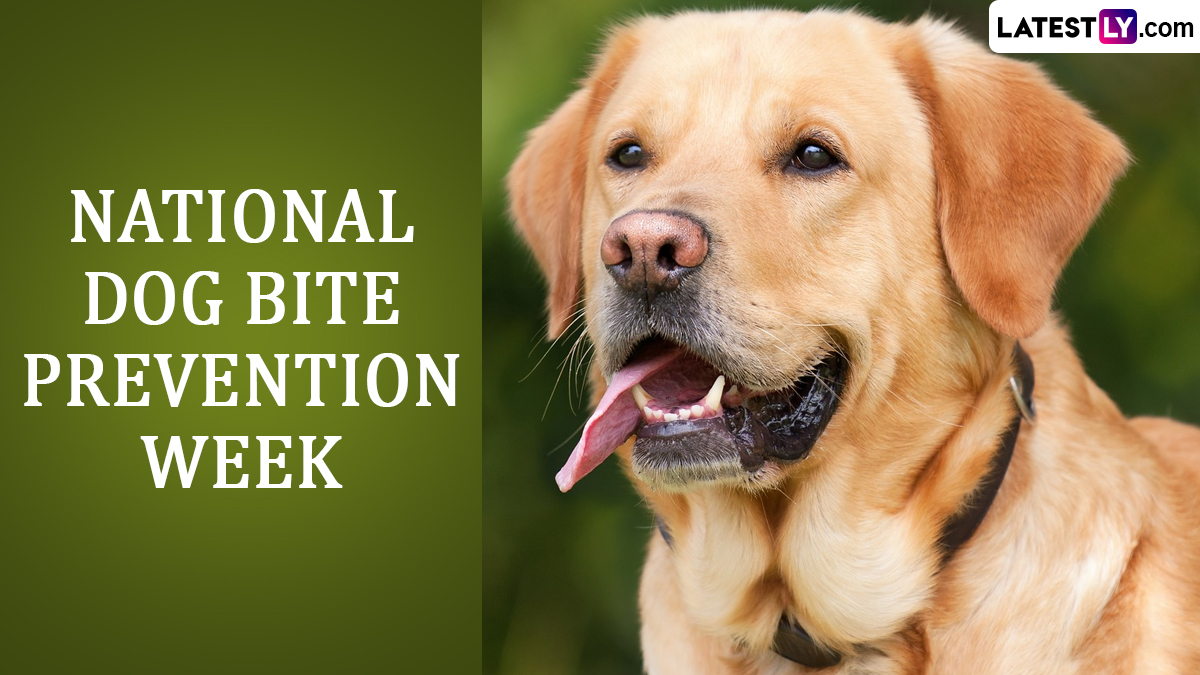 National Dog Bite Prevention Week 2024: Know Start and End Dates ...