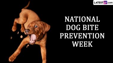 National Dog Bite Prevention Week 2024: Know Start and End Dates, Significance and More About This Important Awareness Week