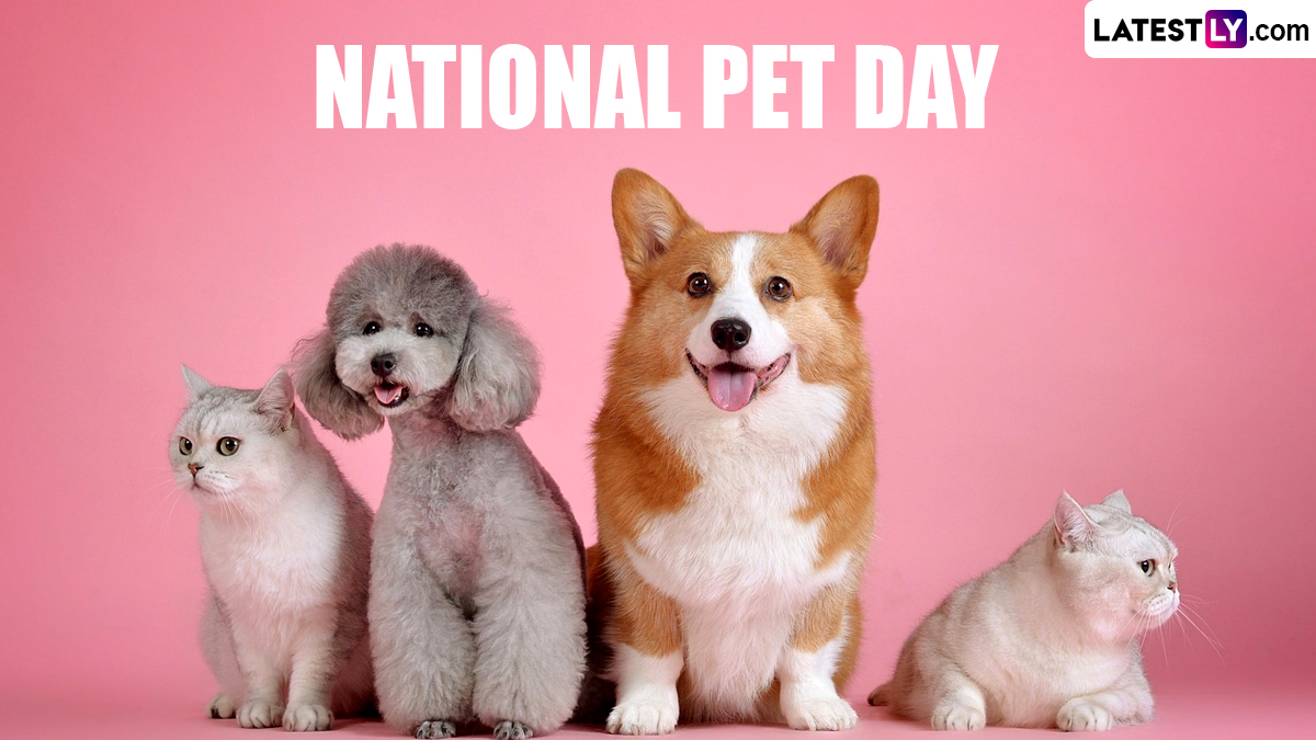 Festivals & Events News | When is National Pet Day 2024? Know Date ...