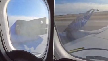 Southwest Airlines Makes Emergency Landing in US: Houston-Bound Flight Returns to Denver International Airport After Part of Engine Cowling Detaches (Watch Video)