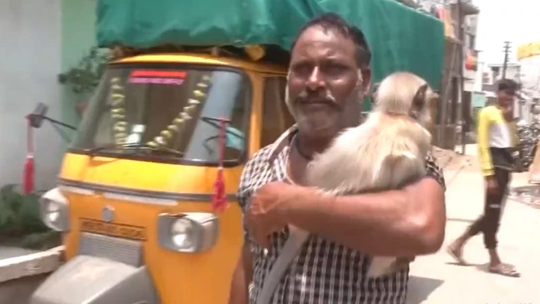 Maharashtra: Vinod Kshirsagar Arrives at Polling Station With His Pet Langoor To Cast His Vote in Lok Sabha Elections 2024 (Watch Video)