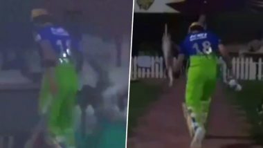 Virat Kohli Knocks Down Dustbin, Smashes Bat In Anger After Being Dismissed During KKR vs RCB IPL 2024 Match; Videos Go Viral