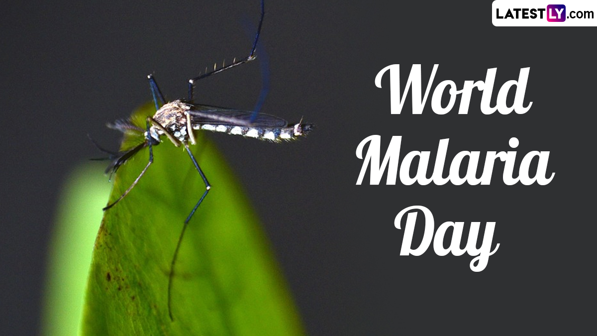 Health & Wellness News | When is World Malaria Day? Everything to Know ...