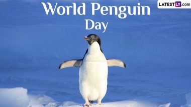 World Penguin Day 2024 Date and Significance: Know the Importance of the Day That Calls for the Protection of Penguins and Their Habitats