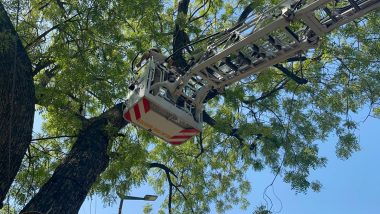 Farmers Protest at Jantar Mantar: Delhi Police Use Fire Brigade Crane To Bring Down Tamil Nadu Farmers From Mobile Tower (Watch Video)