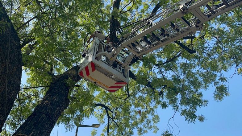 Farmers Protest at Jantar Mantar: Delhi Police Use Fire Brigade Crane To Bring Down Tamil Nadu Farmers From Mobile Tower (Watch Video)