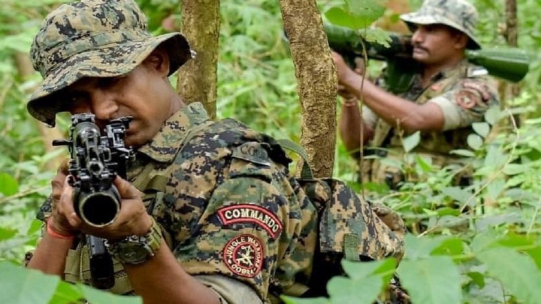 Maharashtra: 12 Naxals Killed in Encounter With Security Forces in Gadchiroli District