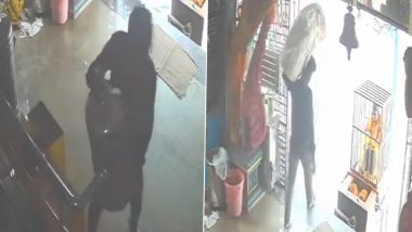 Temple Theft Caught on Camera in Andhra Pradesh: Man Steals Ammavari Temple's Collection Box in Kakinada, Video Surfaces