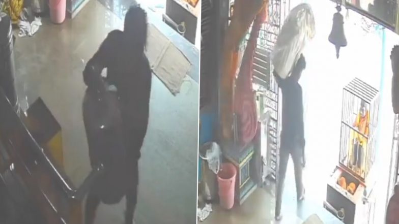 Temple Theft Caught on Camera in Andhra Pradesh: Man Steals Ammavari Temple's Collection Box in Kakinada, Video Surfaces