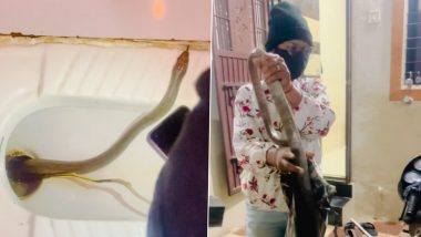 Snake Found in Toilet: Man Discovers 10-Feet-Long Reptile After Hearing Hissing Sound From Lavatory in Maharashtra, Video Surfaces