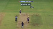 KL Rahul Takes Stunning Reflex Catch to Dismiss Shreyas Iyer During LSG vs KKR IPL 2024 Match (Watch Video)