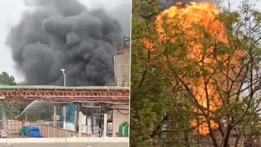 Telangana Fire Videos: Hetero Labs in Sangareddy's Gaddapotharam Industrial Area Goes Up in Flames, Firefighters Battle Blaze