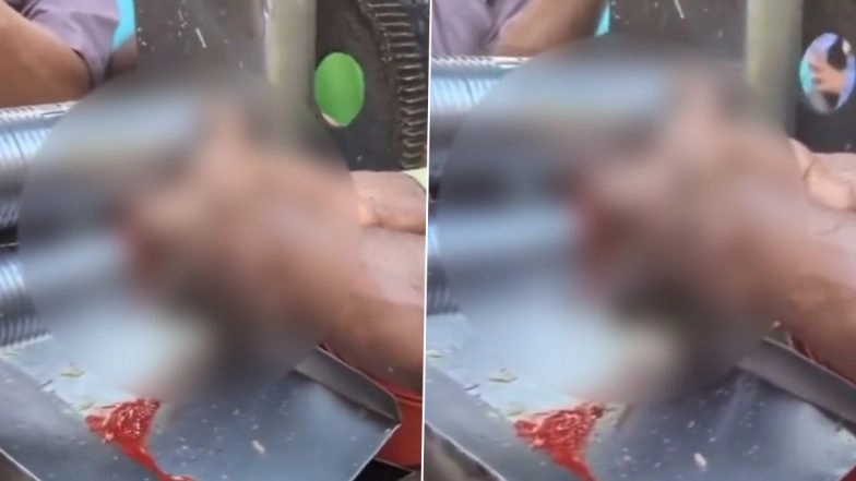 West Bengal: Man’s Fingers Get Crushed, Trapped in Presser of Sugarcane Juice Extraction Machine, Disturbing Video Surfaces