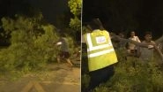 Dust Storm in Delhi: Sign Board Falls on Two Vehicles at Dwarka More During Gusty Winds and Thunder Showers in National Capital (Watch Videos)
