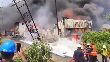 Maharashtra Fire Video: Massive Blaze Erupts at Chemical Factory in Raigad, Fire Tenders on Scene