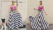 Janhvi Kapoor Poses With Furry Friend 'Saitama' Ahead of Mr and Mrs Mahi's Trailer Release (See Pics & Videos)