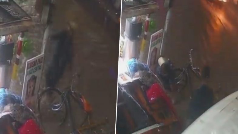 Hyderabad Rains: Man Dies of Electrocution After Coming in Contact With Electrical Pole in Bahadurpura, Disturbing Video Surfaces