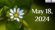May 18, 2024: Which Day Is Today? Know Holidays, Festivals, Special Events, Birthdays, Birth and Death Anniversaries Falling on Today’s Calendar Date