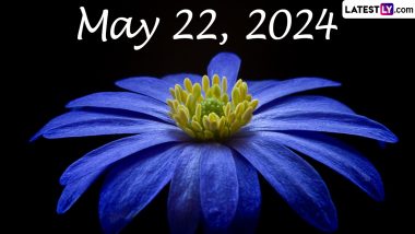 May 22, 2024: Which Day Is Today? Know Holidays, Festivals, Special Events, Birthdays, Birth and Death Anniversaries Falling on Today’s Calendar Date