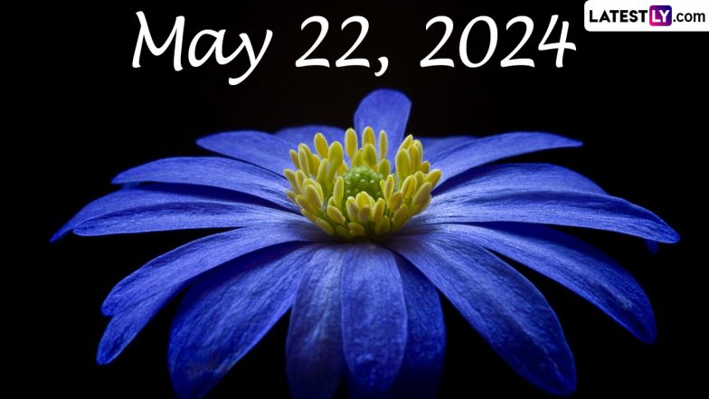 May 22, 2024: Which Day Is Today? Know Holidays, Festivals, Special Events, Birthdays, Birth and Death Anniversaries Falling on Today’s Calendar Date