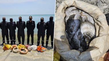 Sea Cucumbers Smuggling Busted: Indian Coast Guard Recovers 97 Kg of Endangered Species From Tamil Nadu's North Vedalai Sea Shore in Palk Strait (See Pics)