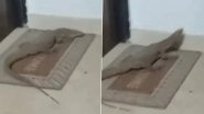 Monitor Lizard Spotted in Lucknow: Residents Encounter Reptile Inside Their Apartment on Second Floor of Yash Heights Tower, Police React After Video Goes Viral