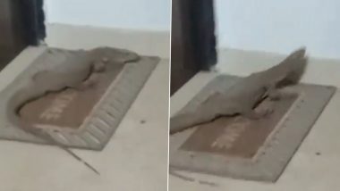 Monitor Lizard Spotted in Lucknow: Residents Encounter Reptile Inside Their Apartment on Second Floor of Yash Heights Tower, Police React After Video Goes Viral