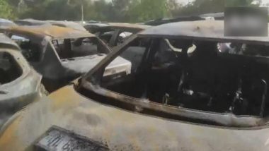 Delhi Fire: 16 Cars Gutted in Madhu Vihar Area, Five Shops Damaged in Chandni Chowk Blaze (Watch Video)