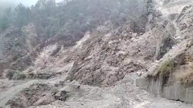 Uttarakhand Rains: Two Killed As Heavy Rains Batter Peepal Kothi Village; Badrinath-Rishikesh Highway Closed (Watch Video)