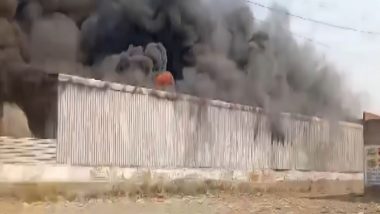 Haryana Fire: Massive Blaze Erupts at Godown in Faridabad, No Casualties Reported (Watch Video)