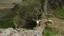 UK: 2 Charged over Felling of Famous Sycamore Gap Tree