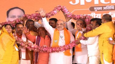 Gandhinagar Lok Sabha Election 2024: Amit Shah Eyes Victory in BJP's Bastion, to Face Congress' Sonal Patel