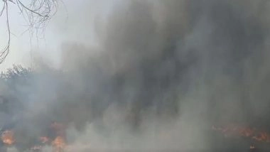 India News | Fire Breaks out in Scrap Godown in Telangana's Sangareddy District