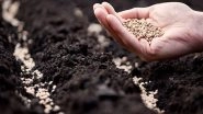 Business News | Robust Intellectual Property Rights Environment Needed for Seed Industry: Experts