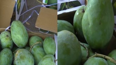 India News | 'Kesar' Mango: Spreading Gujarati Sweetness Across the Globe