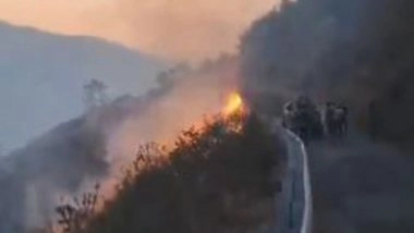 India News | Uttarakhand: One Woman Dies in Forest Fire in Pauri Garhwal Region