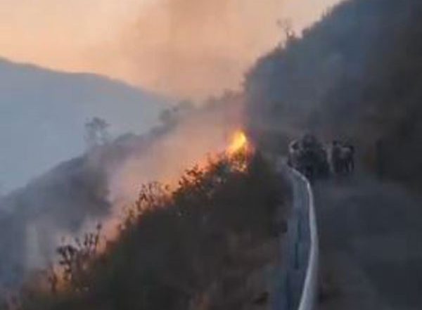 India News | Uttarakhand: One Woman Dies in Forest Fire in Pauri Garhwal Region