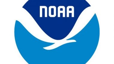 World News | New US Research Shows Pollen Can Change Weather