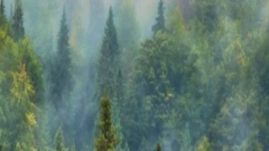 World News | India Highlights Forest Conservation, Sustainable Management Initiatives at 19th Session of UNFF