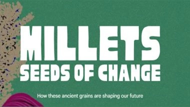 Business News | Google Arts and Culture Launches Digital Exhibition on Millets