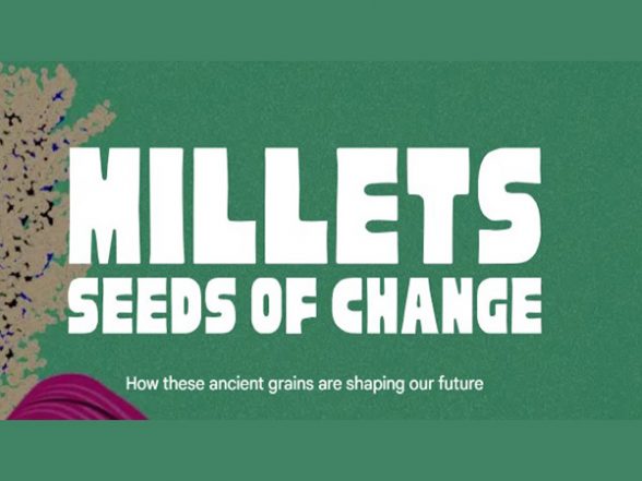 Business News |  Google Arts & Culture launches digital exhibition about millet