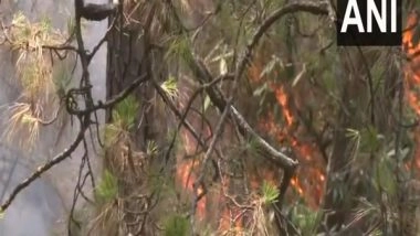 India News | Himachal: Forest Fire Breaks out in Shimla's Tutikandi, No Loss of Life Reported