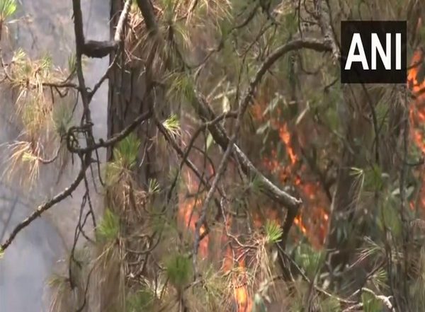 India News | Himachal: Forest Fire Breaks out in Shimla's Tutikandi, No Loss of Life Reported
