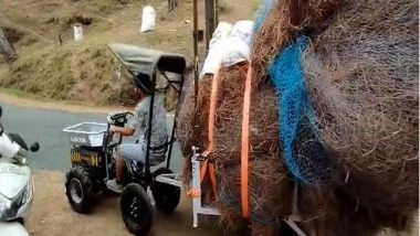 India News | Uttarakhand: Pine Tree Leaves 'Pirul' to Be Purchased at Rs 50 Per Kg Under 'Pirul Lao-Paise Pao' Mission