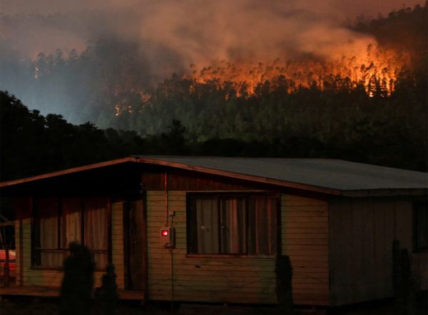 World News | Chile Authorities Arrest Firefighter for Allegedly Starting Deadly Fire in February