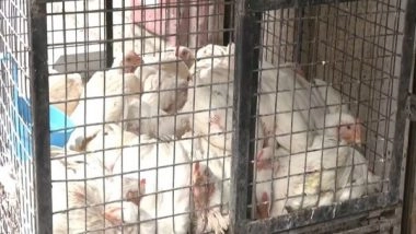 India News | Chicken Price Goes Up to Rs 300 Per Kg in Bengaluru as Hot Weather Reduces Supply