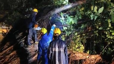 India News | Many Areas of City Have Been Hard-hit by Cyclone Remal: Kolkata Police